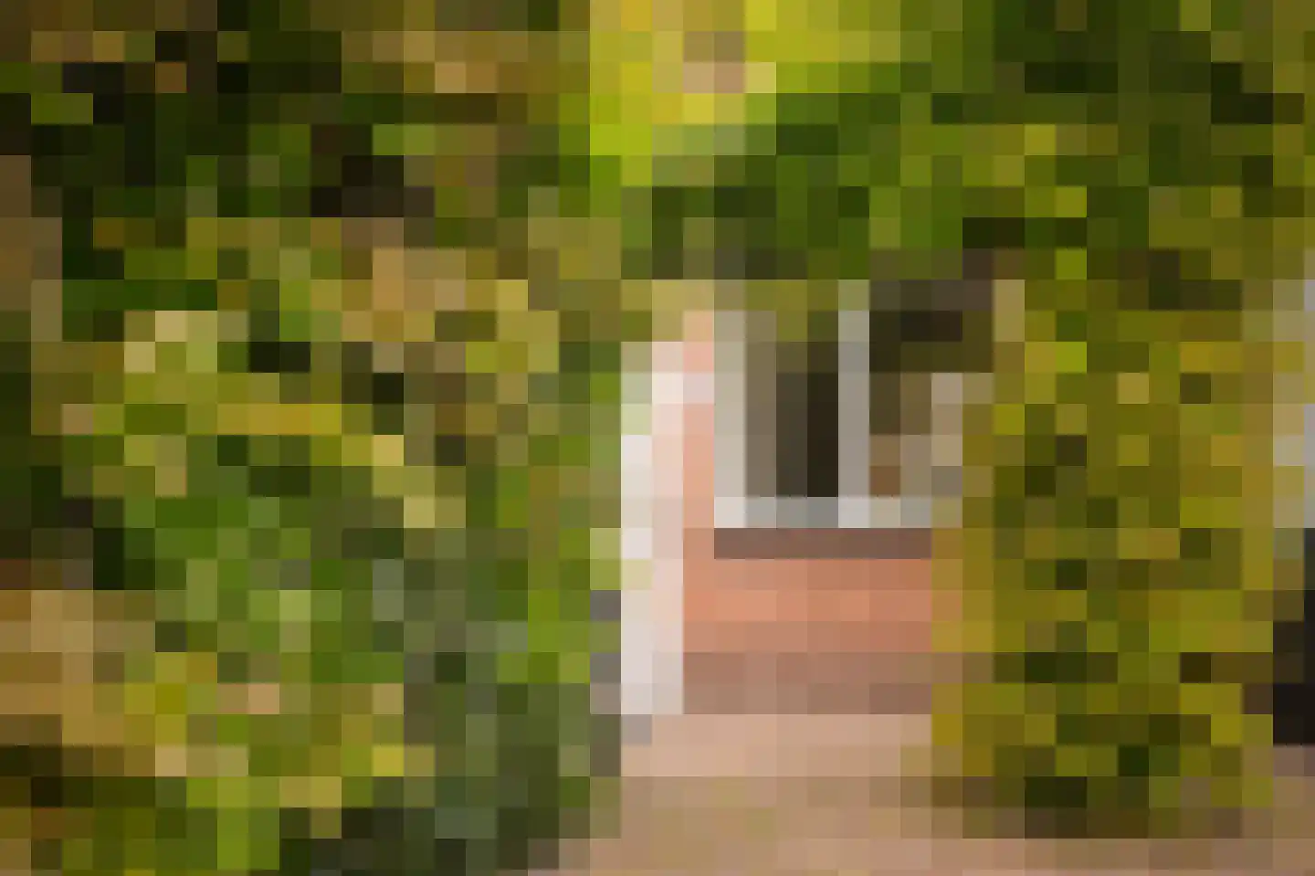 Paterstraat 2 Kerkdriel thumbnail 56