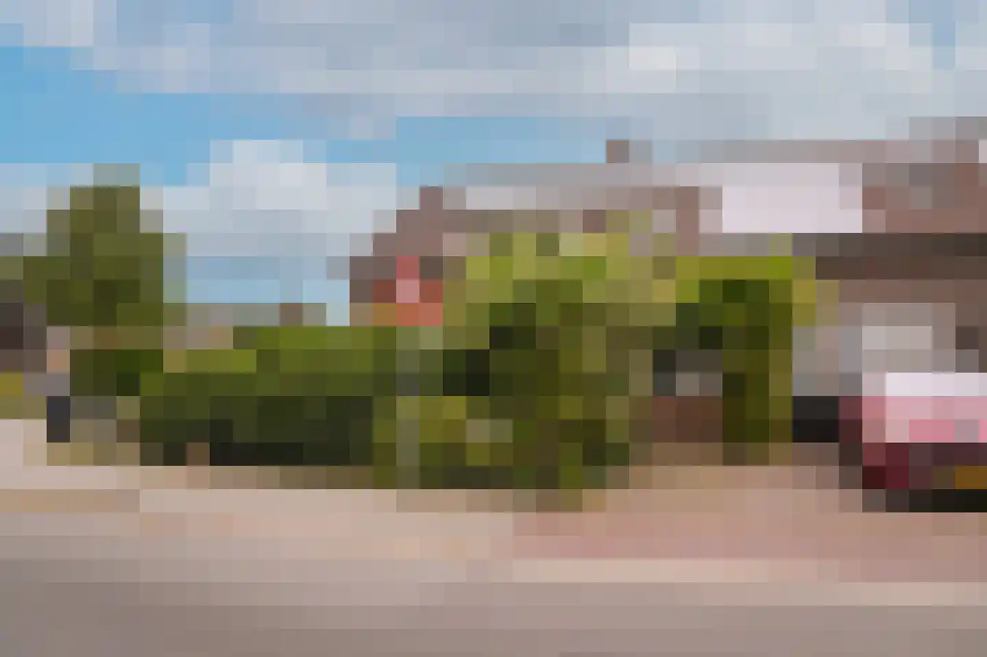 Paterstraat 2 Kerkdriel thumbnail 57