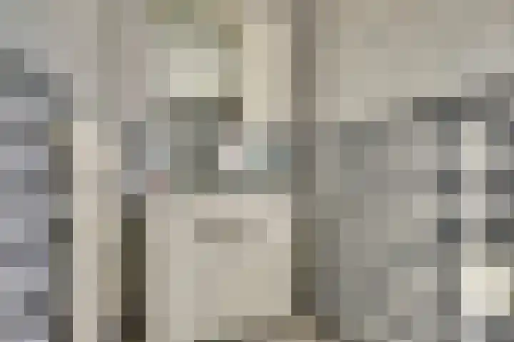 Paterstraat 22 Kerkdriel thumbnail 25