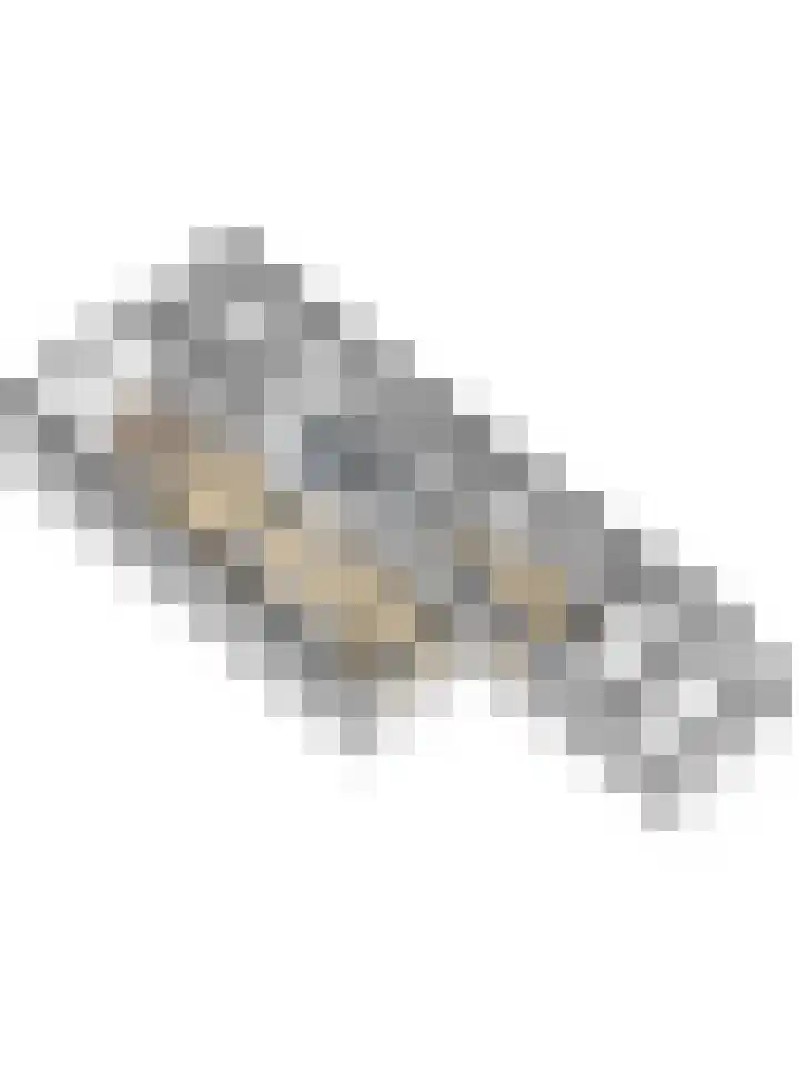 Paterstraat 22 Kerkdriel thumbnail 42