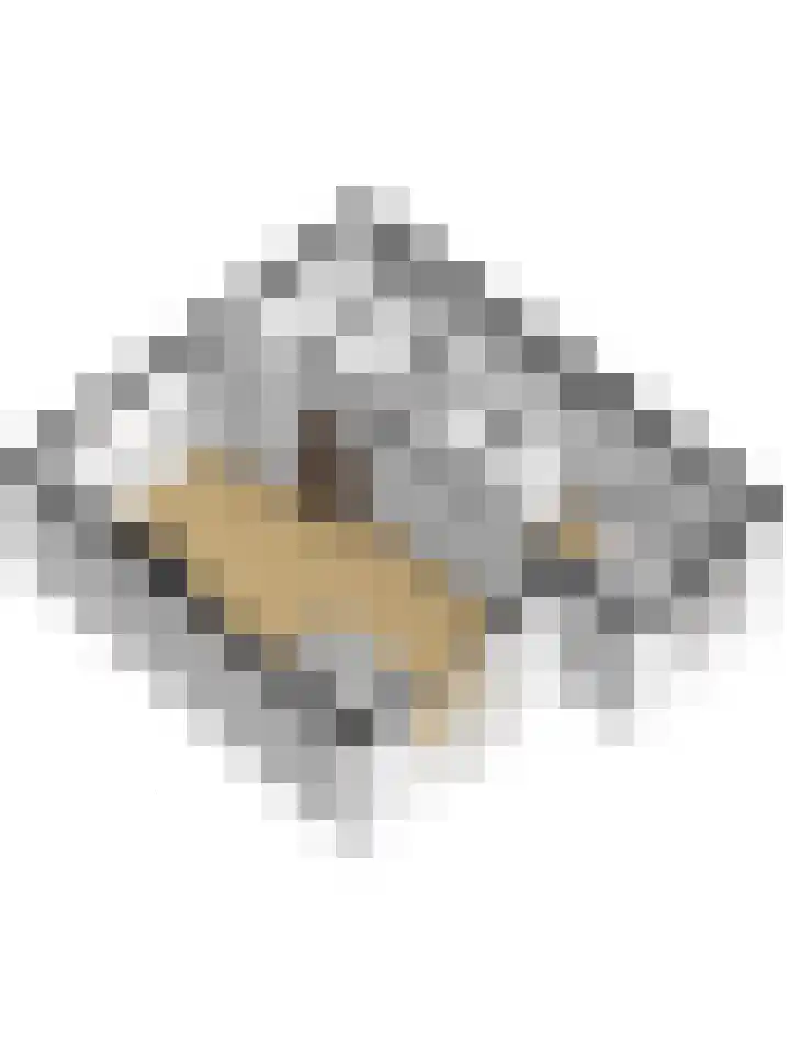 Paterstraat 22 Kerkdriel thumbnail 43