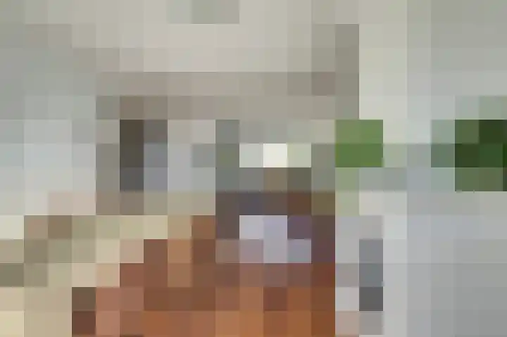 Paterstraat 22 Kerkdriel thumbnail 6