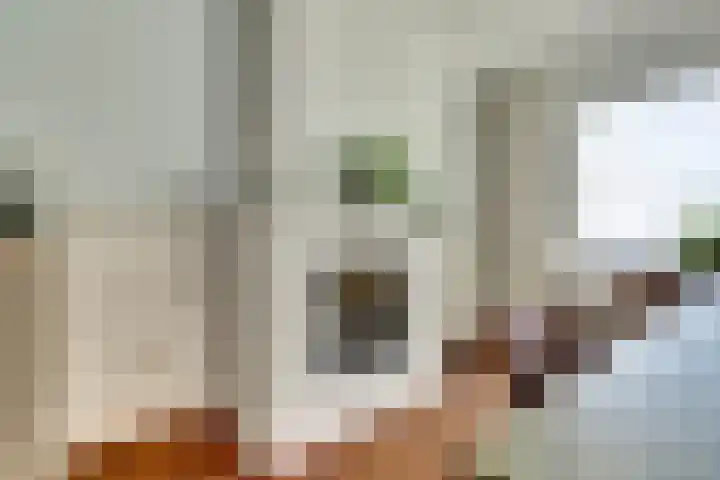 Paterstraat 22 Kerkdriel thumbnail 8