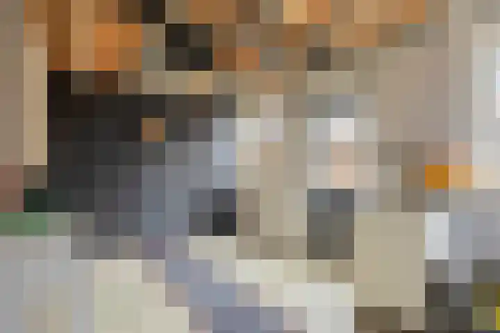 Paterstraat 32 Kerkdriel thumbnail 20