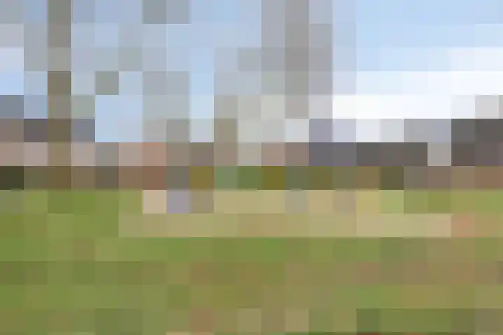Paterstraat 32 Kerkdriel thumbnail 24