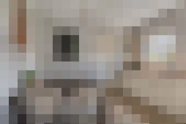 Paterstraat 35 Den Dungen thumbnail 11