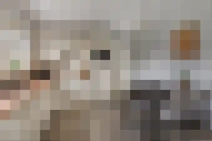 Paterstraat 35 Den Dungen thumbnail 12