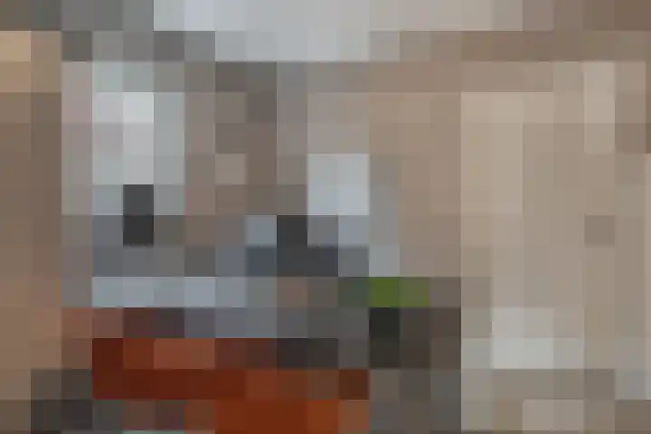 Paterstraat 35 Den Dungen thumbnail 15