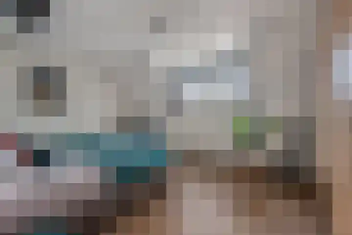 Paterstraat 35 Den Dungen thumbnail 18