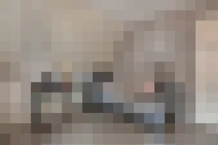 Paterstraat 35 Den Dungen thumbnail 20
