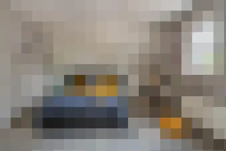 Paterstraat 35 Den Dungen thumbnail 21