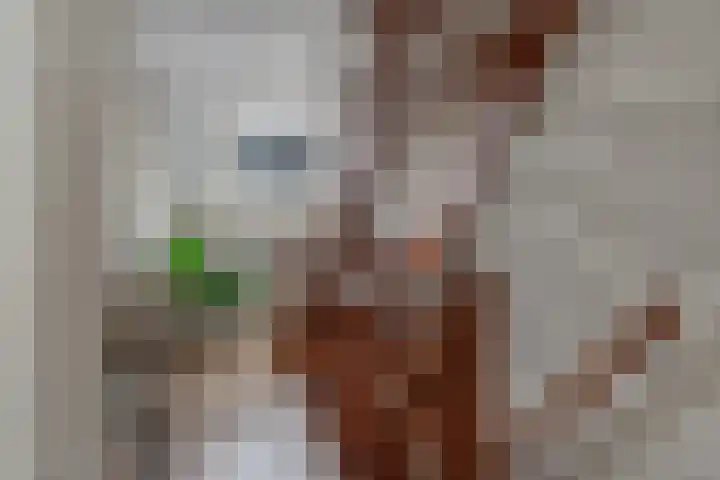 Paterstraat 35 Den Dungen thumbnail 24