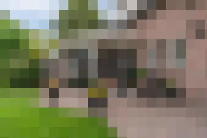 Paterstraat 35 Den Dungen thumbnail 26