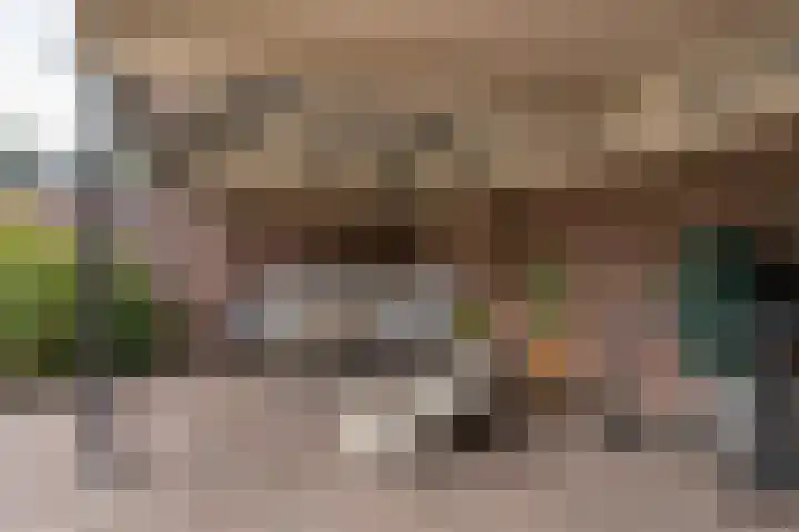 Paterstraat 35 Den Dungen thumbnail 28
