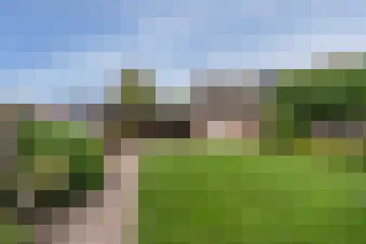 Paterstraat 35 Den Dungen thumbnail 29