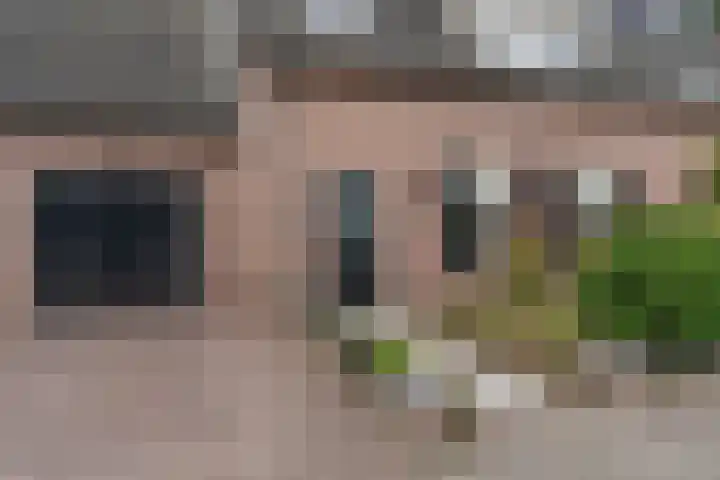 Paterstraat 35 Den Dungen thumbnail 30