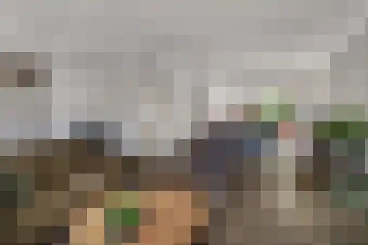 Paterstraat 35 Den Dungen thumbnail 4