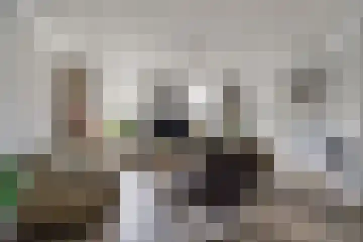 Paterstraat 35 Den Dungen thumbnail 5