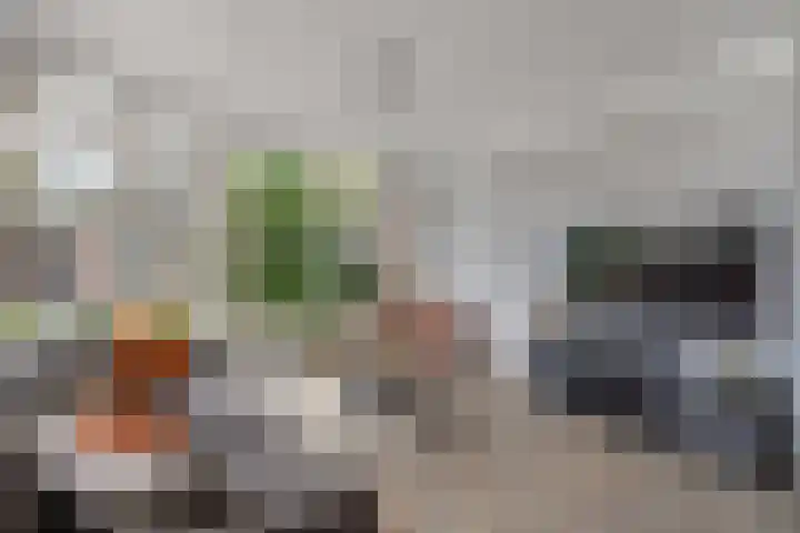 Paterstraat 35 Den Dungen thumbnail 9