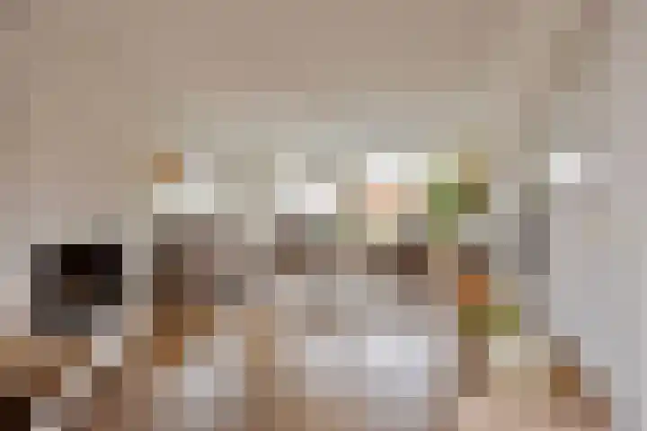 Paterstraat 43 Den Dungen thumbnail 10