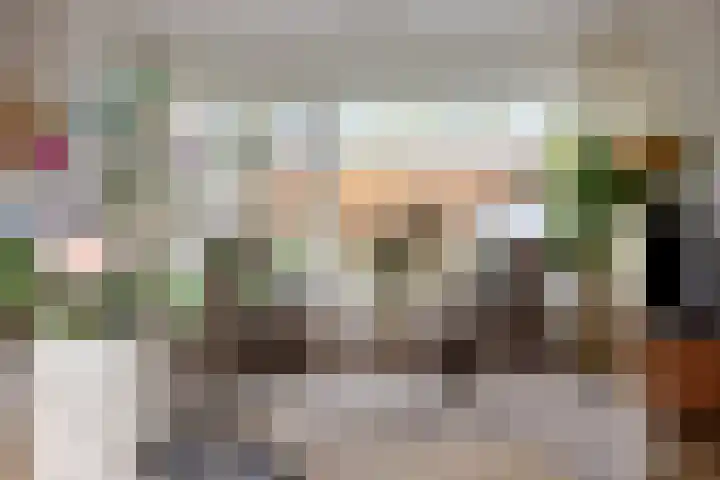 Paterstraat 43 Den Dungen thumbnail 12