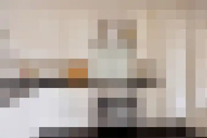 Paterstraat 43 Den Dungen thumbnail 13
