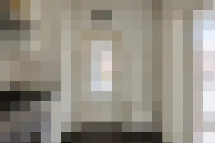 Paterstraat 43 Den Dungen thumbnail 14
