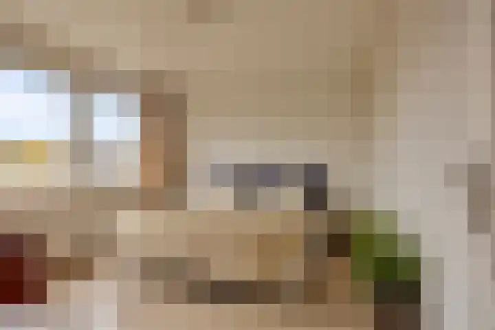 Paterstraat 43 Den Dungen thumbnail 18