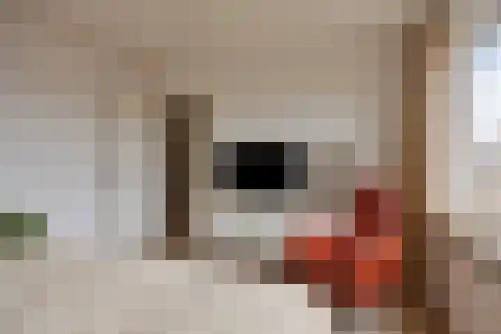 Paterstraat 43 Den Dungen thumbnail 19