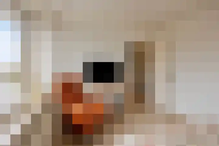 Paterstraat 43 Den Dungen thumbnail 21