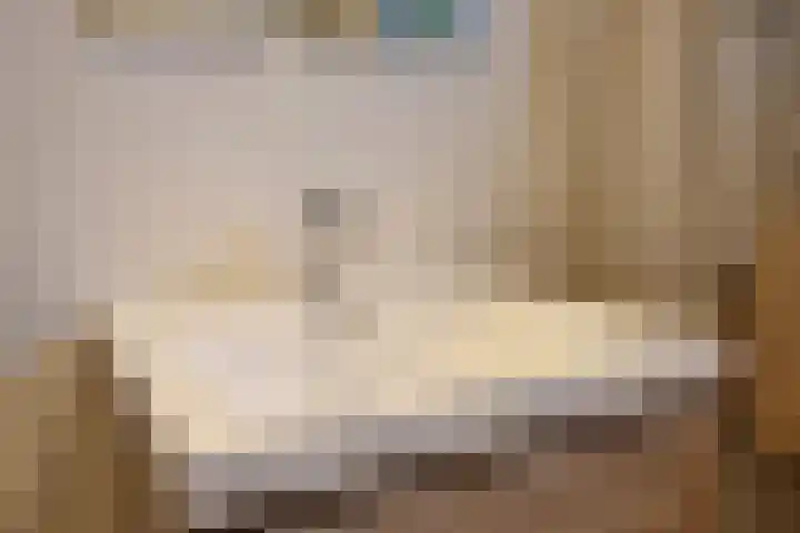 Paterstraat 43 Den Dungen thumbnail 24