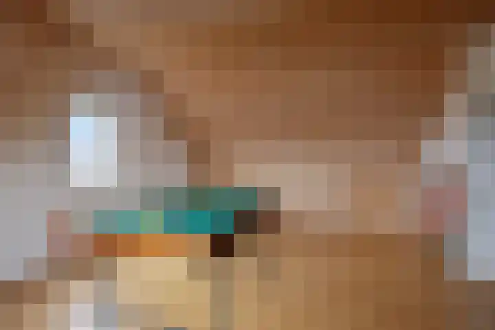 Paterstraat 43 Den Dungen thumbnail 33