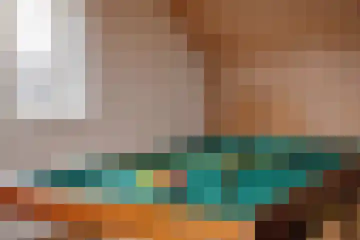 Paterstraat 43 Den Dungen thumbnail 34