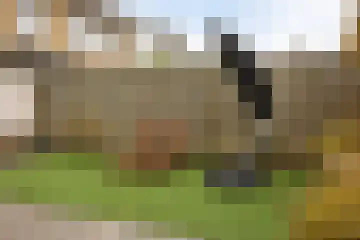 Paterstraat 43 Den Dungen thumbnail 36
