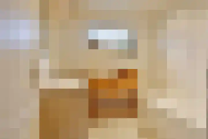 Paterstraat 43 Den Dungen thumbnail 5