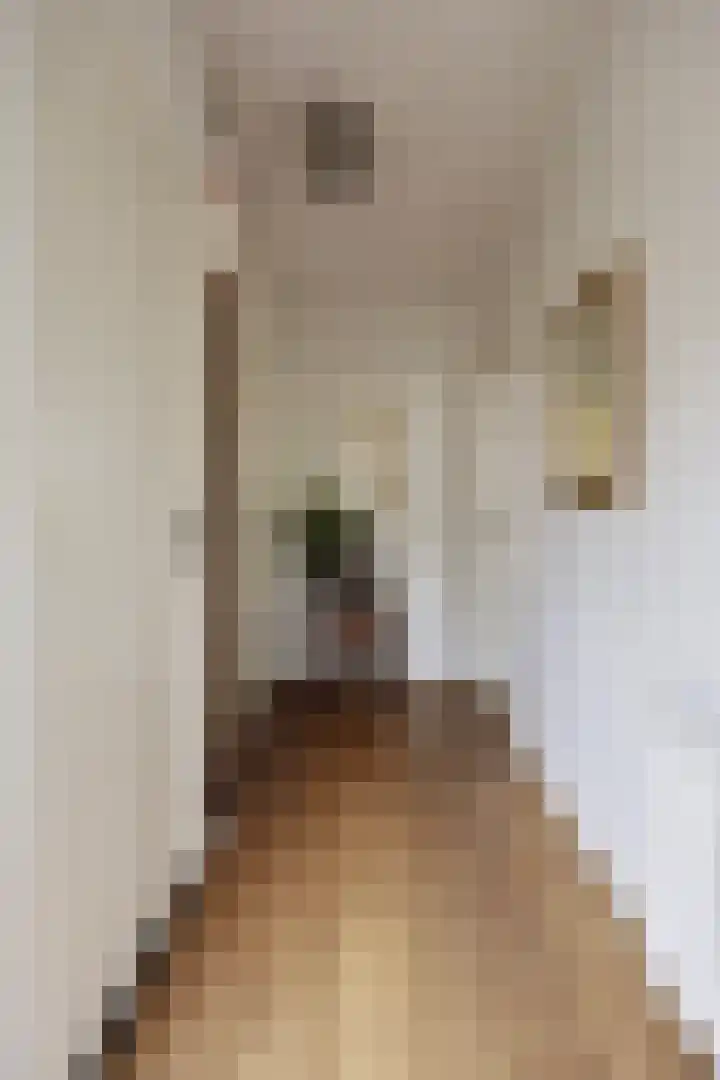 Paterstraat 43 Den Dungen thumbnail 7