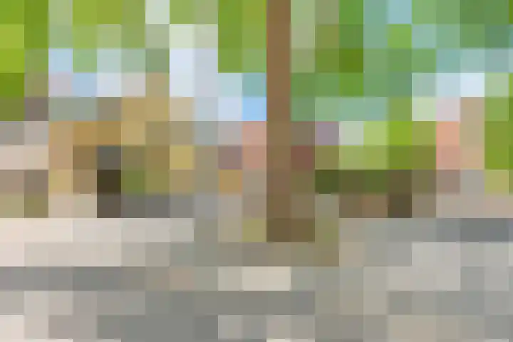 Paterstraat 49 Tilburg thumbnail 24