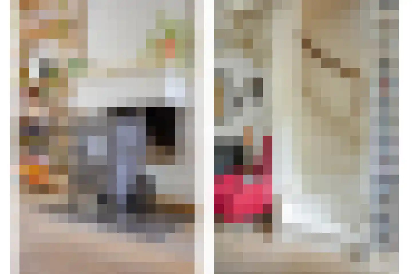Paterstraat 51 Tilburg thumbnail 13