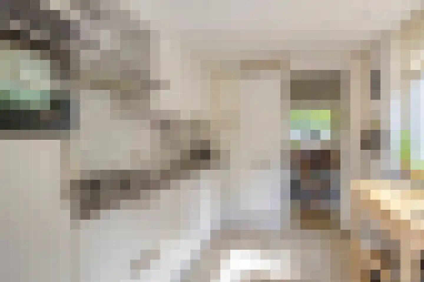 Paterstraat 51 Tilburg thumbnail 18