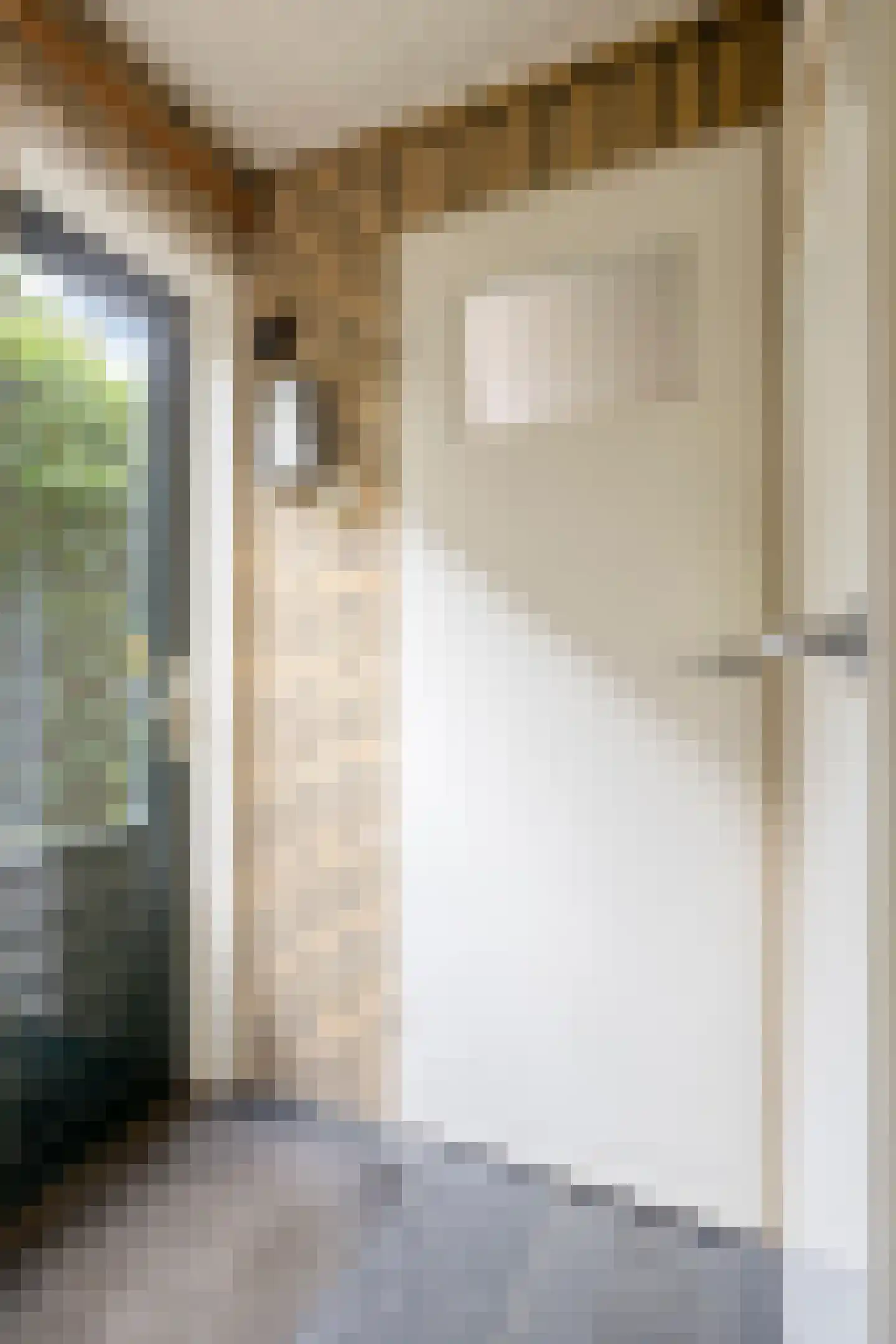 Paterstraat 51 Tilburg thumbnail 21