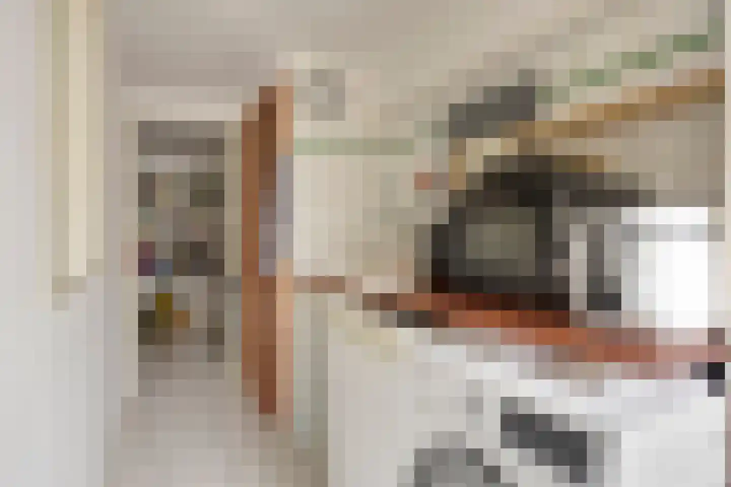Paterstraat 51 Tilburg thumbnail 34