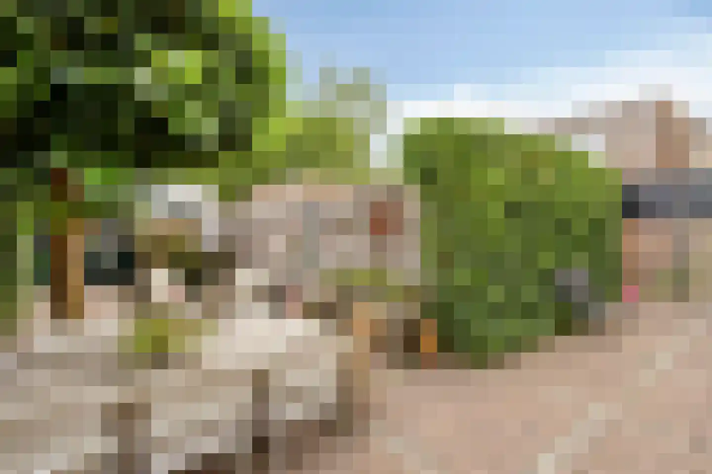 Paterstraat 51 Tilburg thumbnail 48