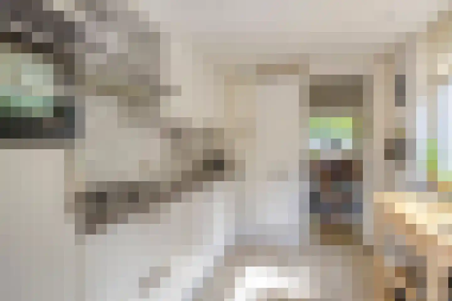Paterstraat 51 Tilburg thumbnail 5