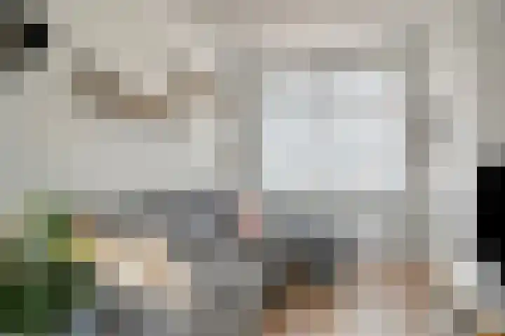Paterstraat 53 Tilburg foto 2