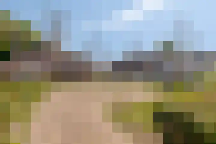 Paterstraat 53 Tilburg thumbnail 33