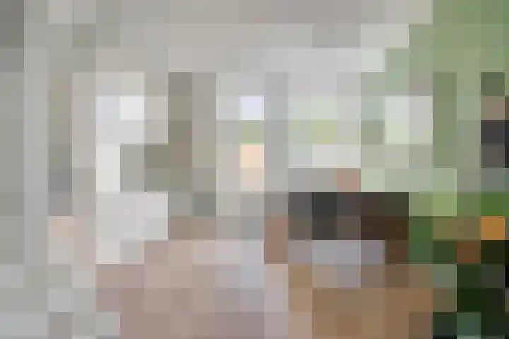 Paterstraat 53 Tilburg thumbnail 4