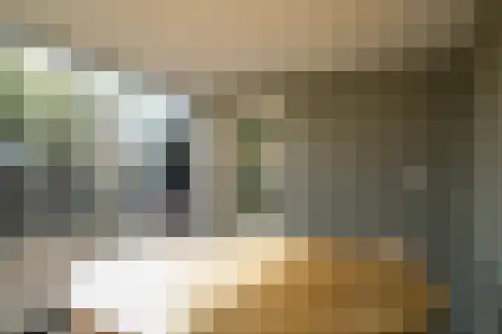 Paterstraat 54 Kerkdriel thumbnail 30