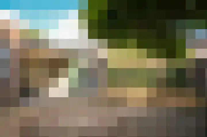 Paterstraat 54 Kerkdriel thumbnail 32
