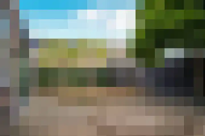 Paterstraat 54 Kerkdriel thumbnail 33