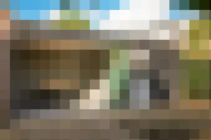 Paterstraat 54 Kerkdriel thumbnail 37